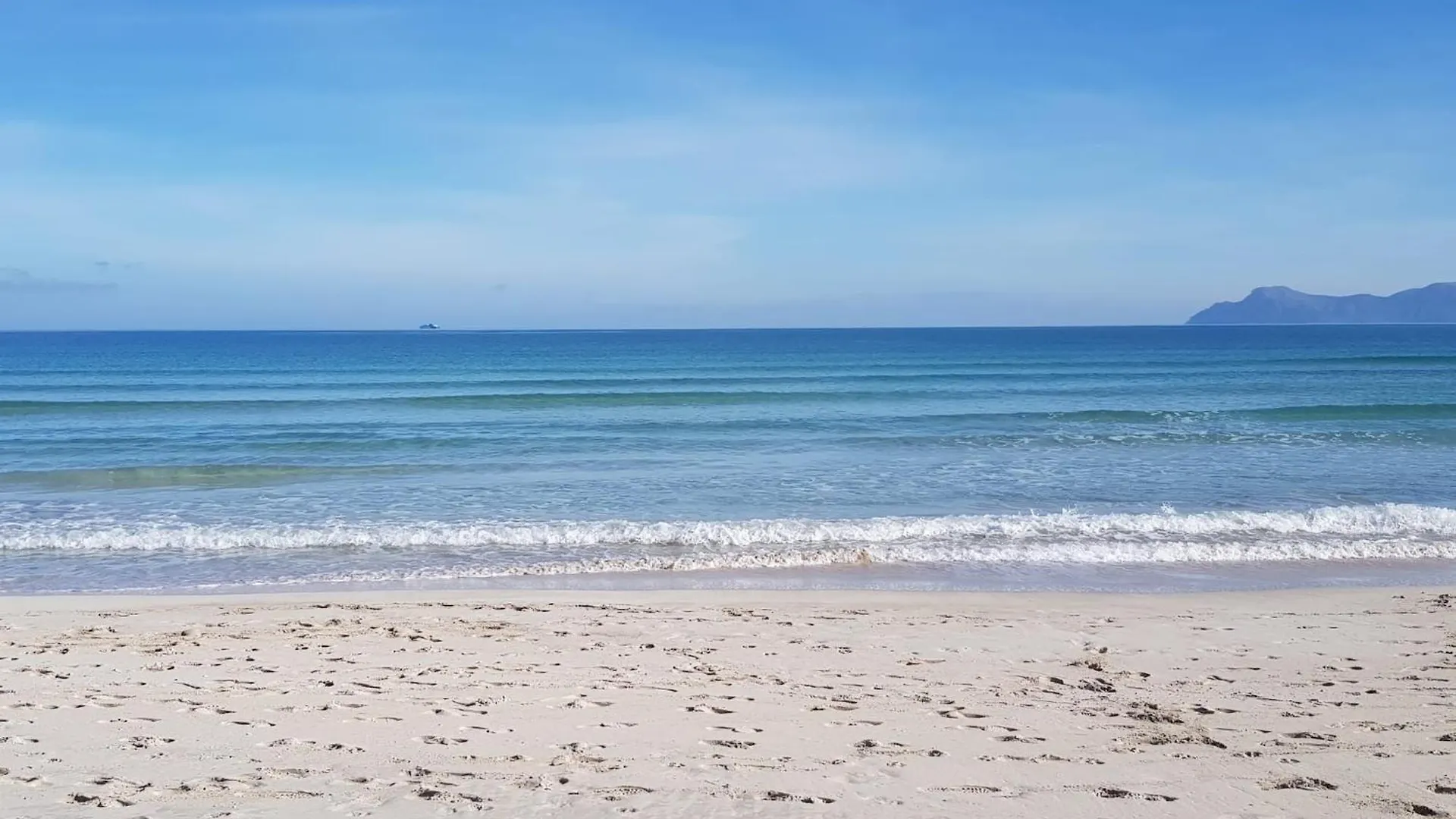 Apartment Ideal Property Mallorca - Portobello Port de Alcudia
